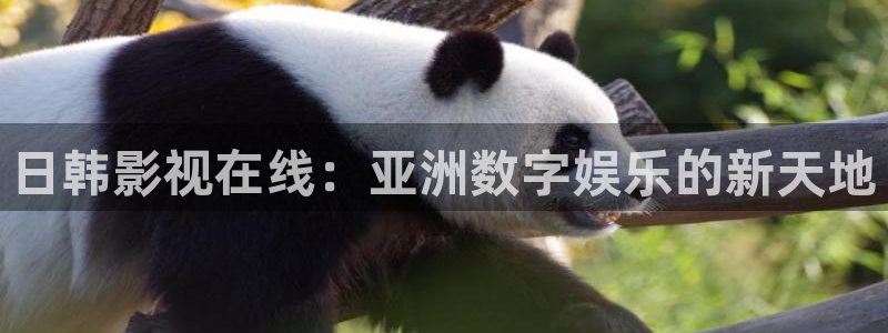 人人妻超碰