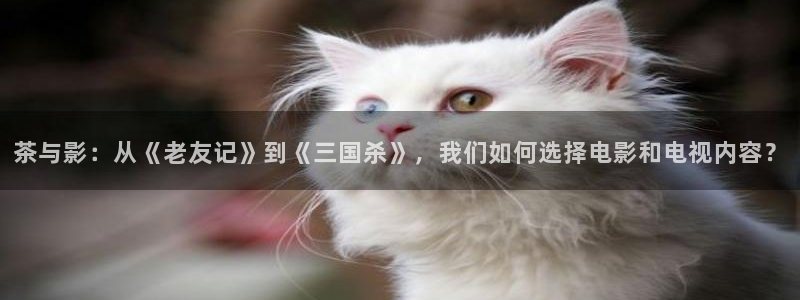 成人影院人人免费观看