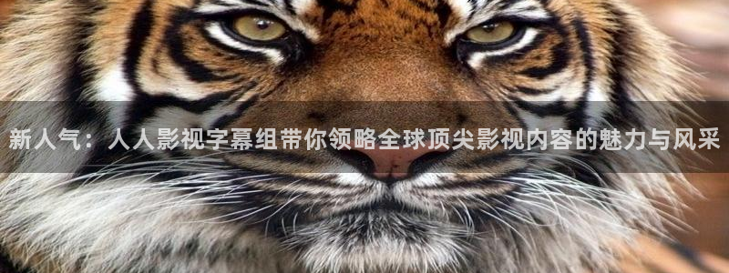 久久人人添人人爽添人人片av