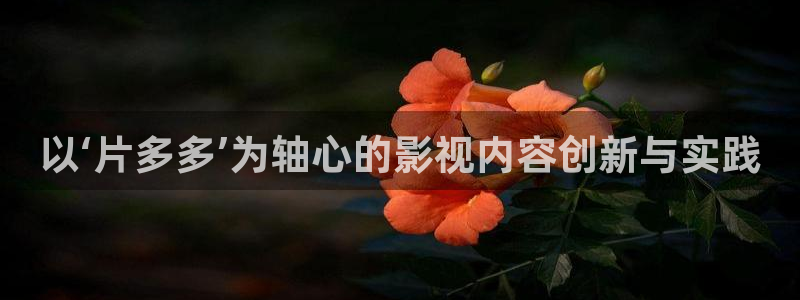 人人看影视