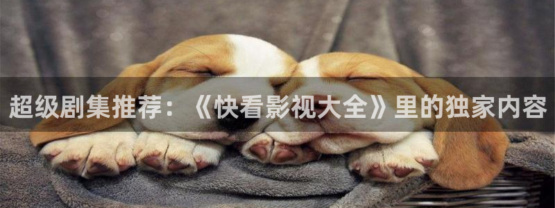 人人的影视