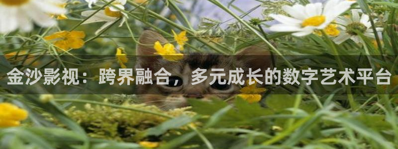 南京人人从众影视公司